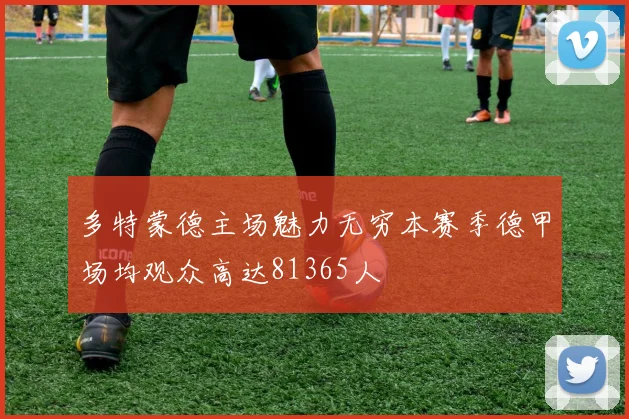 多特蒙德主场魅力无穷本赛季德甲场均观众高达81365人