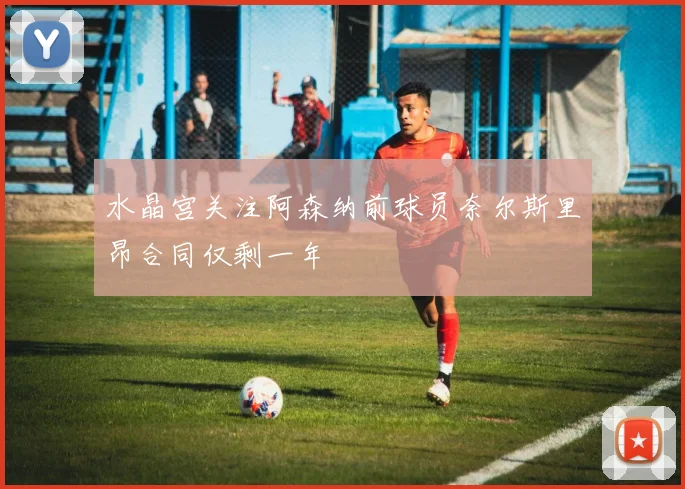 水晶宫关注阿森纳前球员奈尔斯里昂合同仅剩一年
